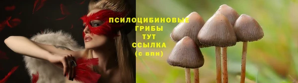 MDMA Алексин