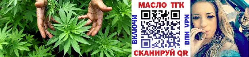 где продают Цимлянск ТГК гашишное масло