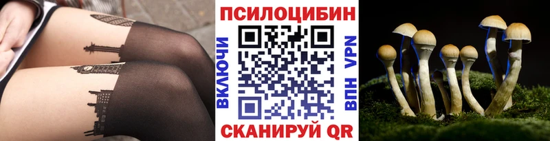 купить   kraken ТОР  Галлюциногенные грибы прущие грибы  Цимлянск 